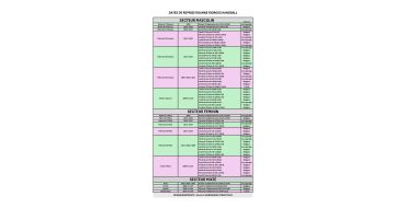 PLANNING DE REPRISE SAISON 2026-2027